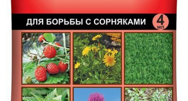 Pokyny pro použití bis-300 a složení herbicidu, dávkování a analogy