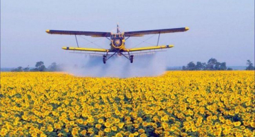 Pokyny pro použití desikantu a herbicidu tongara, dávkování a analogy