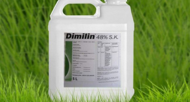 Pokyny pro použití dimilin a složení insekticidu, dávkování a analogy