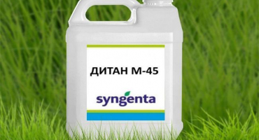 Návod k použití ditanu m-45 a složení fungicidu, dávkování a analogy