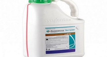 Návod na použití extrémní dividendy a spotřebního kurzu treatera