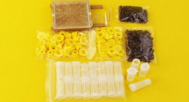 Návod na použití šetrného plástu pro odběr matek od a do z