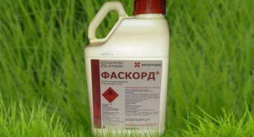 Pokyny pro použití fascordu a složení insekticidu, dávkování a analogy
