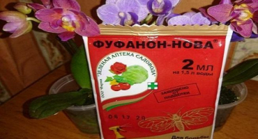 Pokyny pro použití fufanonu a složení insekticidu, míry spotřeby