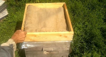 Návod k použití fumisanu pro včely, účinná látka a analogy