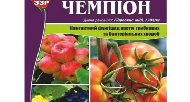 Návod k použití fungicidního šampiona, mechanismus účinku a míry spotřeby