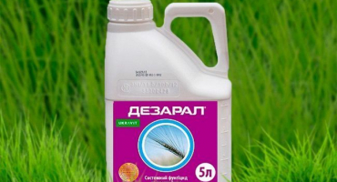 Návod k použití fungicidu derozal a míry spotřeby