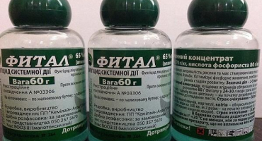 Návod k použití fungicidu fital a mechanismus účinku