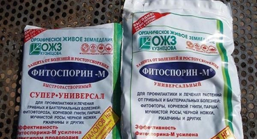 Návod k použití fungicidu fytosporin, spotřeba a analogy