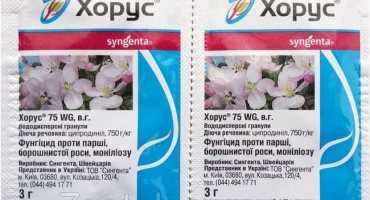 Návod na použití fungicidu horus k ošetření hroznů a čekací doby