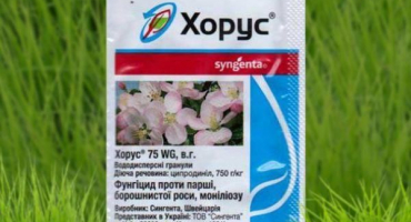 Návod k použití fungicidu horus a úplný popis léku