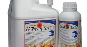 Návod k použití fungicidu kasumin, spotřeba a analogy