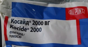 Návod k použití fungicidu koside a mechanismus účinku