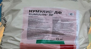 Návod k použití fungicidu cumulus a míry spotřeby