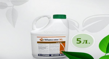 Návod k použití fungicidu maxima a jak funguje