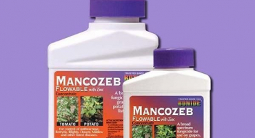 Návod k použití fungicidu mancozeb, složení a působení léčiva