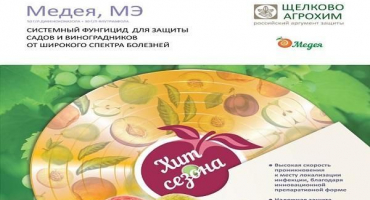 Návod na použití fungicidu medea a přípravu pracovního roztoku