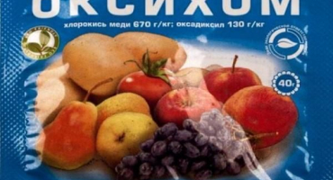 Návod k použití fungicidu oxychom, spotřeba a analogy