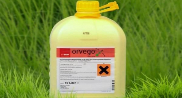 Návod k použití fungicidu orvego, popis produktu a analogy
