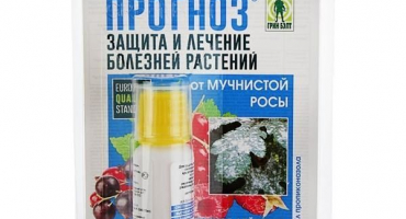Návod k použití fungicidu prognóza a mechanismus účinku