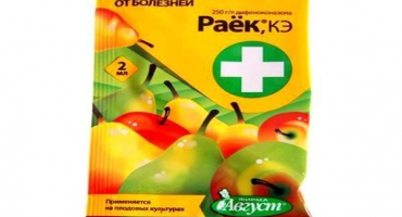 Návod k použití fungicidu rak a příprava pracovního roztoku