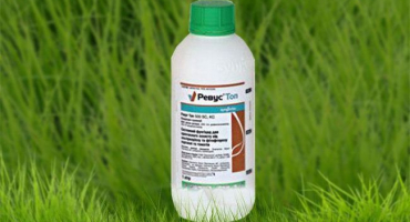 Návod k použití fungicidu revus top a mechanismus účinku