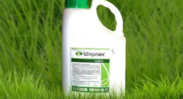 Návod k použití fungicidu shirlan, složení a forma uvolňování přípravku