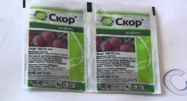 Návod k použití fungicidu skóre, dávkování a spektrum účinku