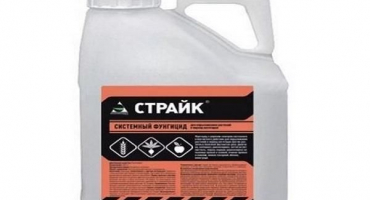 Návod na použití fungicidu strike forte a přípravu pracovního roztoku