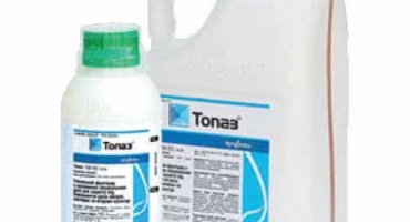 Návod na použití fungicidu topaz k ošetření hroznů na jaře a na podzim a čekací době