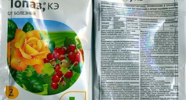 Pokyny pro použití fungicidního topazu pro rostliny, složení a analogy