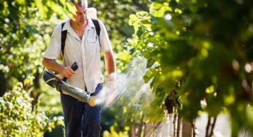 Návod k použití fungicidního bzučáku, mechanismus účinku a míry spotřeby