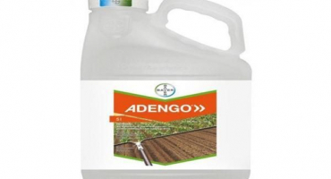 Návod k použití herbicidu adengo a mechanismus účinku
