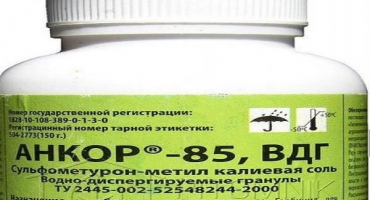 Návod k použití herbicidu ankor 85, mechanismus účinku a míry spotřeby