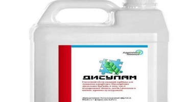 Návod k použití herbicidu disulam, mechanismus účinku a míry spotřeby