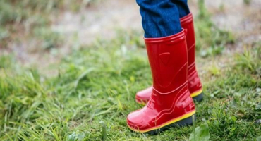 Návod k použití herbicidu galigan, mechanismus účinku a míry spotřeby