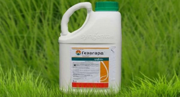 Návod k použití herbicidu gesagard, složení a forma uvolňování