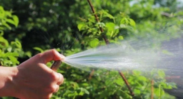 Seznam top 14 organofosfátových insekticidů, jejich klady a zápory