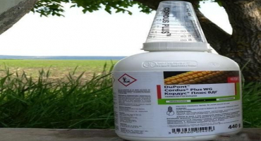 Návod k použití herbicidu cordus plus, spotřeba a analogy