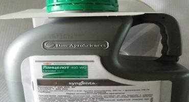 Návod k použití herbicidu lancelot 450, mechanismus účinku a míry spotřeby