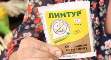 Návod na použití herbicidu lintur z plevelů a pravidla zpracování
