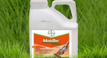 Návod k použití herbicidu meister síla, složení a spotřeba