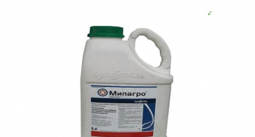 Návod k použití herbicidu milagro, míry spotřeby a analogy