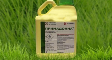 Návod na použití herbicidu primadona