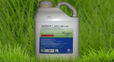 Návod k použití výběru herbicidu, složení a forma uvolňování