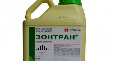 Návod k použití herbicidu zontran, spotřeba a analogy