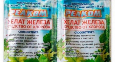 Návod k použití chelátu železa, dávkování hnojiva a analogy