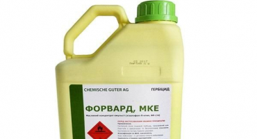 Návod k použití a mechanismus účinku herbicidu vpřed