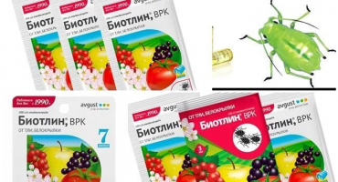 Návod k použití a složení biotlin, podmínky skladování a analogy
