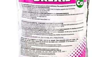 Návod k použití a složení brexil, kompatibilita fondů a analogů